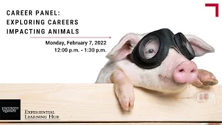 Career Panel: Exploring Careers Impacting Animals