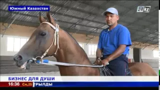 Элитные породы лошадей разводят в Южном Казахстане