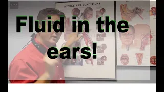 Middle Ear Fluid