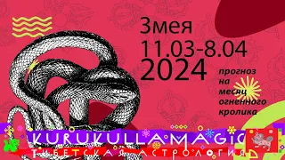 Прогноз для змей на месяц огненного кролика с 11 марта по 8 апреля