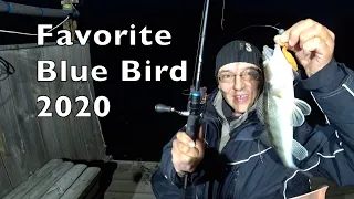 ТЕСТ СПИННИГА FAVORITE Blue Bird 2020. ПЛЮСЫ И МИНУСЫ.