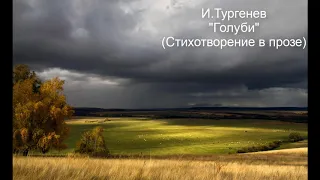 И.Тургенев "Голуби" (стихотворение в прозе)