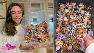 I BOUGHT A BOX OF LITTLEST PET SHOPS FOR $50 || 100+ Pets, Big 5, Rares