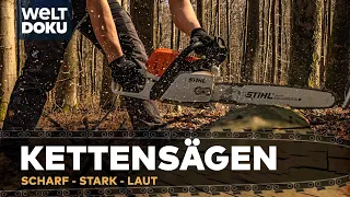 STIHL - KETTENSÄGEN IM EINSATZ - scharf, stark und laut | HD Timber Doku