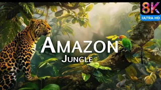 Amazon 8k - The World's Largest Tropical Rainforest | Jungle Sounds | Scenic Relaxation Film |nature