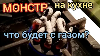 Монстр на кухне! Что будет с газом... Глюконат кальция, опыт