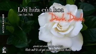 [Vietsub + Pinyin] Lời hứa của hoa dành dành - Lâm Tam Thất || 林三七  - 梔子花的約定