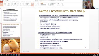 04 Профилактика токсикоинфекций при производстве мяса птицы