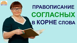 Задание 6 ОГЭ. Правописание согласных в корне слова.