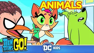 Teen Titans Go!  | Top 10 Animal Moments |  @dckids