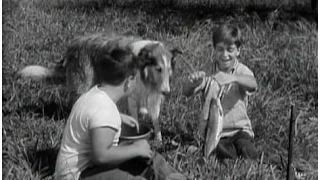 Lassie - Episode #72 - "The Fish Story" – Season 3, Ep. 7 - 10/21/1956