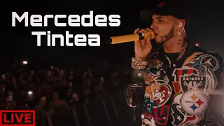 Anuel AA - Mercedes Tintea