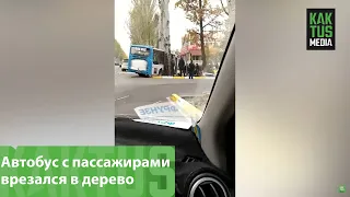 Автобус с пассажирами врезался в дерево