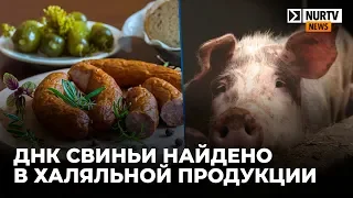 ДНК свиньи нашли в халяльной продукции ряда казахстанских производителей