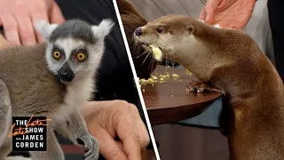 Screech Owls & River Otters w/ Jack Hanna, Jeff Goldblum & Marlon Wayans