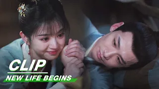 Li Wei is Worried that Yin Zheng is Seriously Ill | New Life Begins EP36 | 卿卿日常 | iQIYI