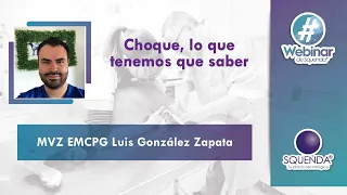 Choque, lo que tenemos que saber - MVZ EMCPG Luis González