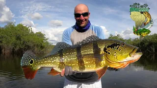 FISHING FOR MONSTER PEACOCK BASS IN COLOMBIA - MATAVEN RIVER  EXPEDITION 2021 - PART.1
