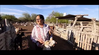 Campo. Puesto del monte, Departamento Quebrachos. Santiago del Estero