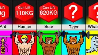 Comparison: How Much Can Animals Lift?