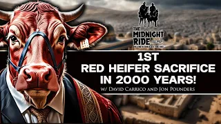 Why Do So Many People Fear the Red Heifer Sacrifice in Israel?