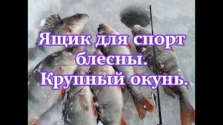 Ящик для спорт блесны. Крупный окунь.