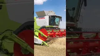 Harvest 2022 XXL with John Deere 9620rx and Claas Lexion 770