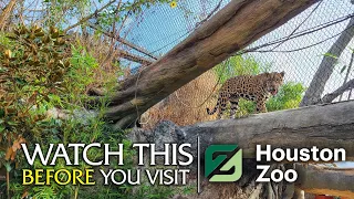 Watch This Before You Visit the Houston Zoo