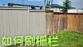 如何自己动手刷Fence栅栏？如何刷solid color stain实色擦色？刷fence的工具和方法，五个步骤和实用的小贴士。你问我答：刷fence常见问题