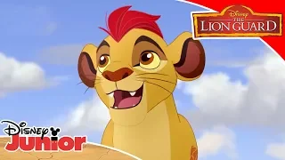 🦁Pride Landers Unite | The Lion Guard | Disney Junior Arabia