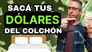 MULTIPLICÁ tus verdes y ganá dólares TODOS los meses 🤑