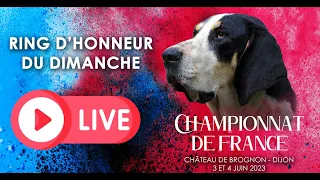 Championnat de France 2023 - ring d'honneur du dimanche