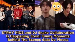 STRAY KIDS and DJ Snake Collaboration Is Happening Soon!Funny Moments Behind The Scenes GalaDePieces