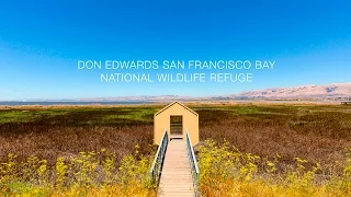 Don Edwards San Francisco Bay National Wildlife Refuge