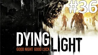 КАЛЬЯННЫЕ СТРАСТИ ► Dying Light #36