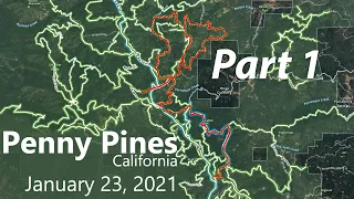 Penny Pines - Jan. 23, 2021 - Part 1