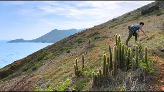 Islands 2030 | California Academy of Sciences