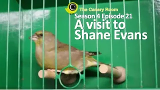 The Canary Room - A Visit to Shane Evans of Direct Bird Products