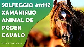 MÚSICA XAMÂNICA COM SOLFEGGIO 417HZ | CAVALO | ANIMAL DE PODER