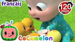 Cinq petits canards | Chansons pour Bébés | CoComelon Le coin des Animaux de JJ - Comptines