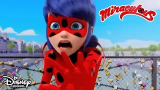 Reverser | Miraculous Ladybug | Disney Channel Africa