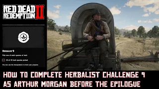 RDR 2: How to complete Herbalist Challenge 9 as Arthur Morgan