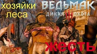 The Witcher 3: Wild Hunt хозяйки леса ЖЕСТЬ!!!