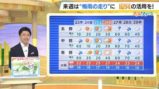 【5月23日(木)】梅雨前線が近づく…南ほど雨　京阪神でも傘の出番がありそう【近畿の天気】#天気 #気象