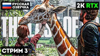 РЕМЕЙК THE LAST OF US PART 1 СТРИМ ПРОХОЖДЕНИЕ [2K] ➤ Часть 3 ➤ Одни Из Нас На PC ➤ Геймплей, Обзор