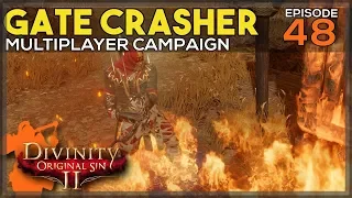 Burn it down! | Divinity: Original Sin 2 - Let's Play ep 48 [Co Op] [Tactician] [Campaign]