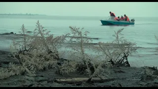 «Без Байкала?» (Baikal: Code Red?) Россия, 2020, реж. Александр Горновский