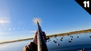 Mixed Bag Duck Hunt On A Tiny Island | Surprise Visitor In The Marsh