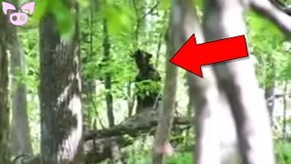 Paranormal Creatures Caught on Camera