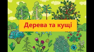 Логопедичне заняття Дерева кущі